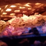 Charcoal ash shown underneath the charcoal grate, from the perspective of someone looking through the ash door of a Saffire