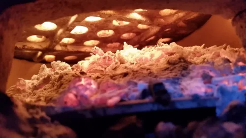 Charcoal ash shown underneath the charcoal grate, from the perspective of someone looking through the ash door of a Saffire