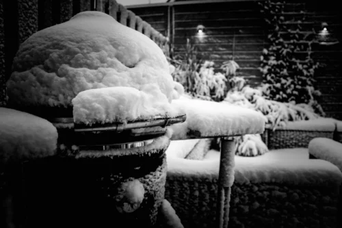 Medium Saffire Covered In Snow During Wintertime